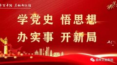 文旅集团机关支部召开党史学习教育组织生活会